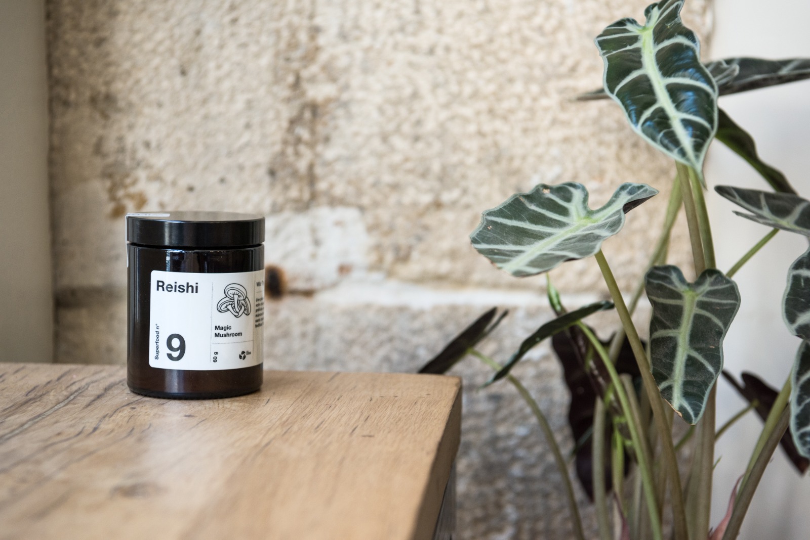 superfood reishi